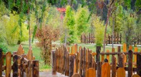 Kepez Botanik Park