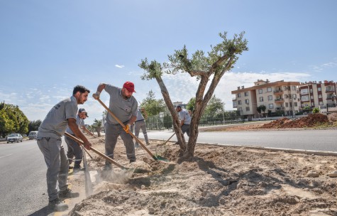 Kerkük Caddesi’nde peyzaj çalışması