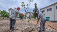 Ünsal’a yeşil bahçe