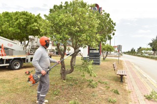 Kepez’de Gazi Bulvarı’ndaki parkların bakımı yapıldı