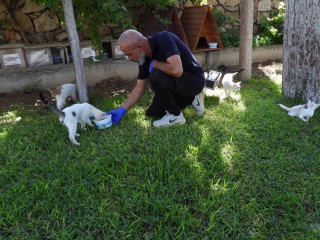 Kepez’in can dostları emin ellerde