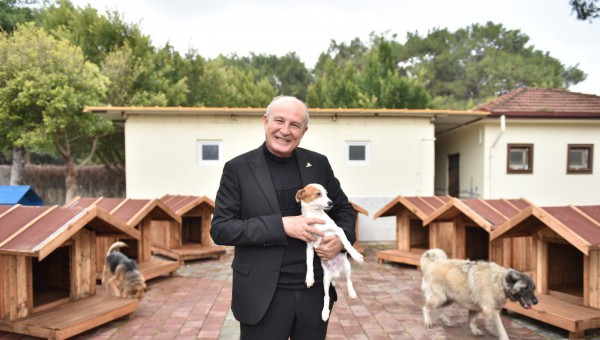 Kepez’de sokak hayvanlarına sıcacık yuvalar 