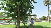 Sokaklardaki ‘Metruk’ Tehlikeye İnce Temizlik:  Kepez Belediyesi’nden uyuşturucu sığınaklarına karşı operasyon