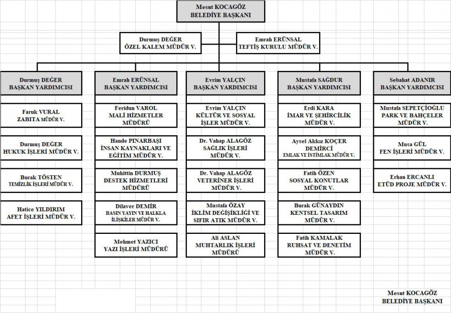 Organizasyon Şeması
